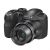 Fujifilm Finepix S2950 