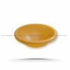 Gary Fong AmberDome